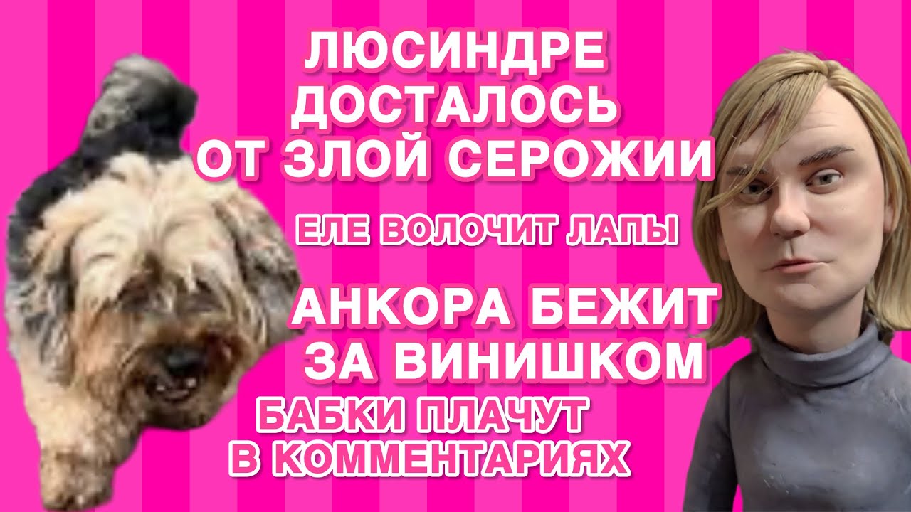 Германия умирает в воскресенье, как и интерес публики к Серожии. Анкорская будет в гневе! 😈 