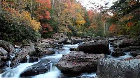 Country Roads  -  John Denver (Take Me Home, West Virginia)