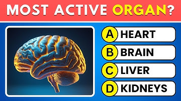 Kun jij deze quiz over het menselijk lichaam halen? 🧠 Doe deze 30 vragen tellende anatomiequiz! 📚