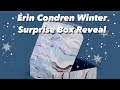 Winter Seasonal Surprise Box Unboxing / Erin Condren #ECSurprisebox