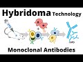 Hybridoma Technology Quiz