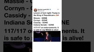 Trump’s Endorsement Streak Has Social Media EXPLODING 🔥🇺🇸