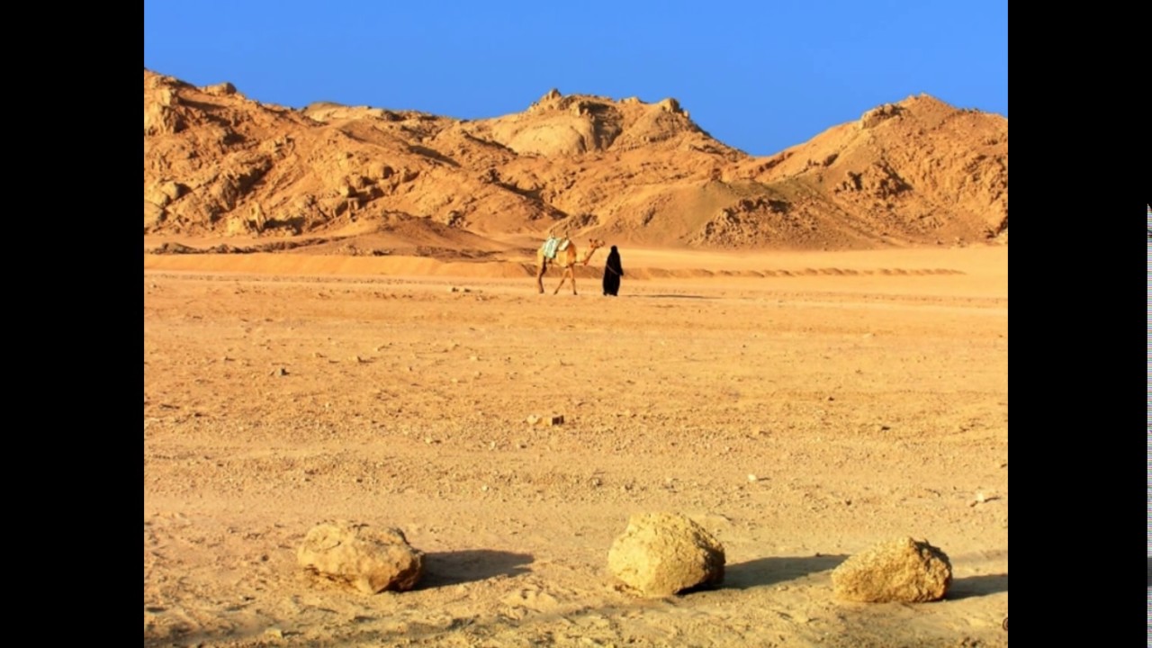 Největší pouště na světě - YouTube