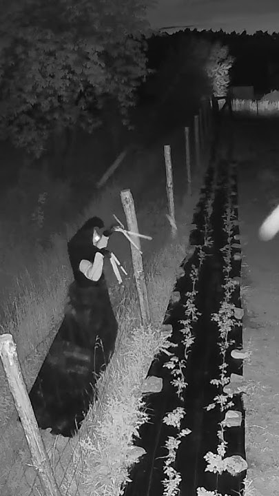 Demon #duch #zjawa #ghost - YouTube