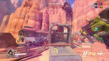 Sombra Translocator Bug