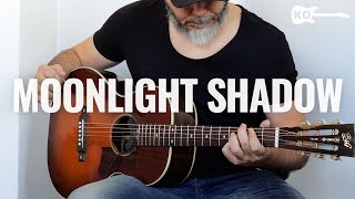 Mike Oldfield - Moonlight Shadow - Acoustic Guitar Cover by Kfir Ochaion - Fishman Fluence Acoustic