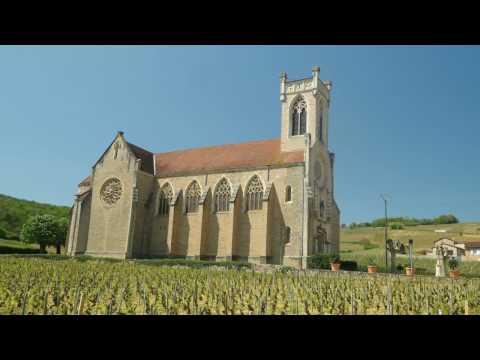Video: Beaune at ang Burgundy Wine Region ng France