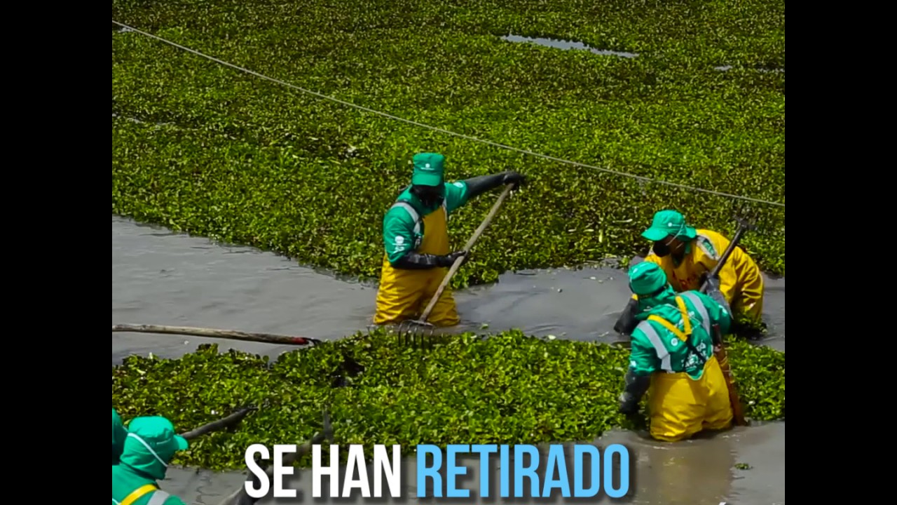 Así se han beneficiado los humedales con la llegada de Enrique Peñalosa ciudad elmina menu