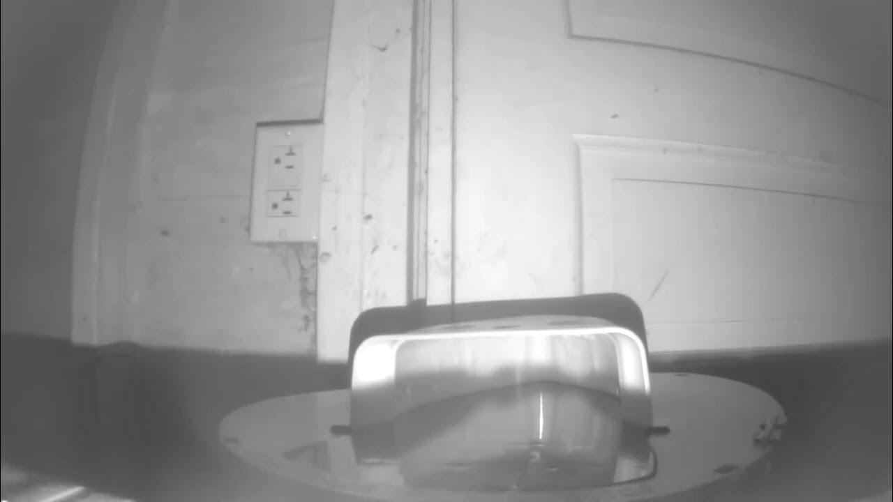 Rinne Traps(made in the USA!!) flip n slide bucket lid mouse trap