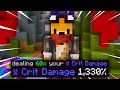 Hypixel Skyblock: SO WE MAXED OUT CRIT DAMAGE...