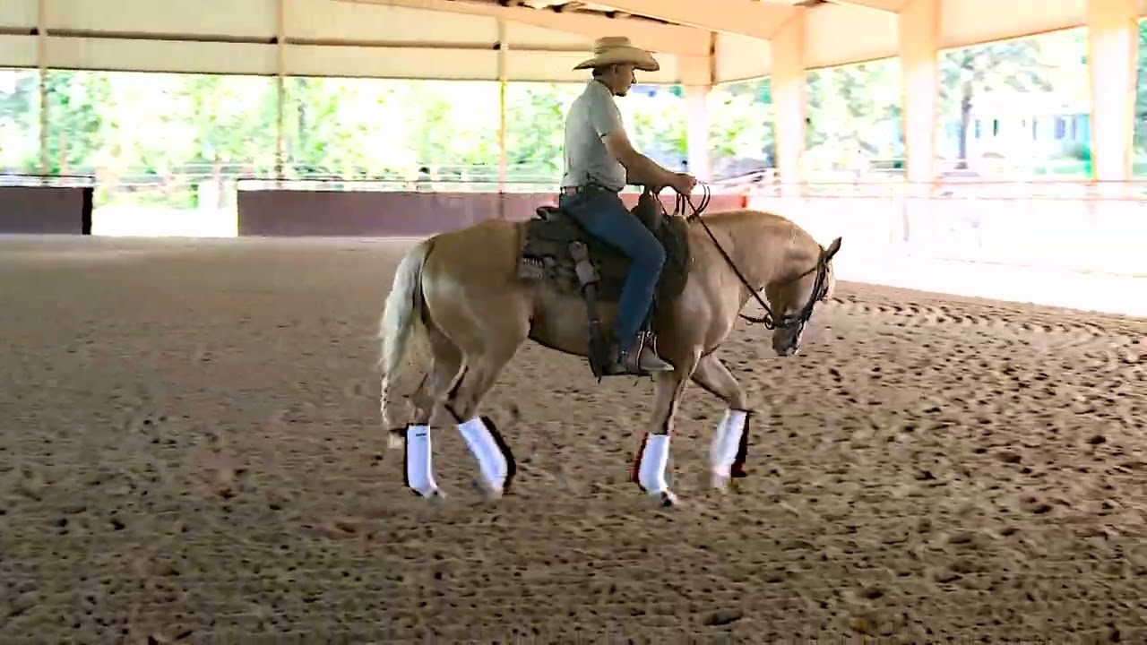 How to Use Forward as a Reward