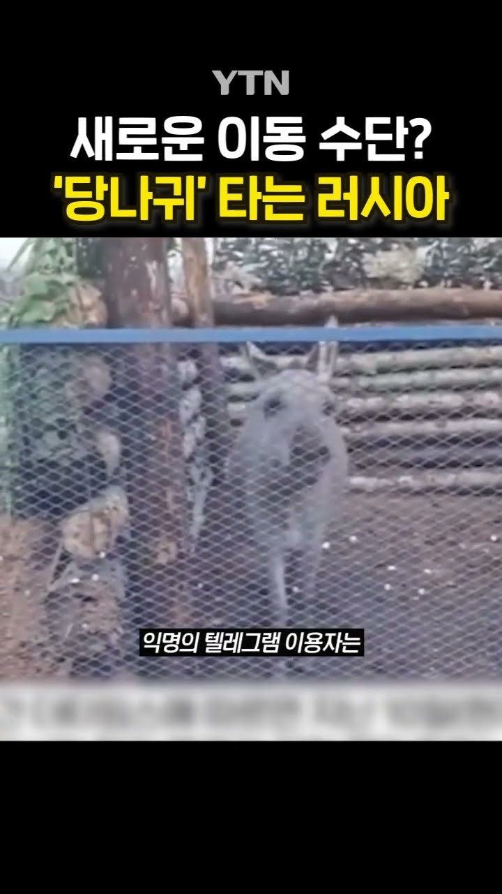 당나귀까지 동원 #shorts / YTN