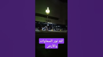 الله نور السماوات والأرض #دعاء #explore #nature #اكسبلور #quran #garden #تلاوة_خاشعة
