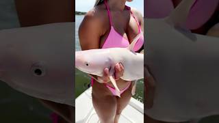 Rare Pure White Catfish!!! #Fishing #Catfishing #Gonefishing