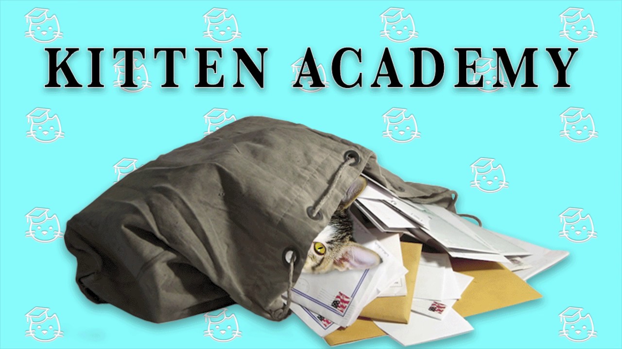 cats inn Mailbag + Unboxing 2017-04-20: ANNIVERSARY SPECIAL!