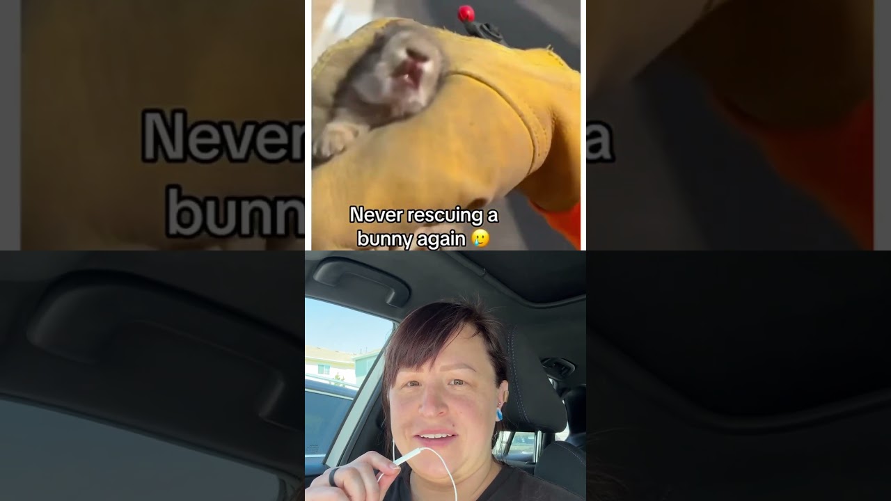 Baby Hare Grows Massive