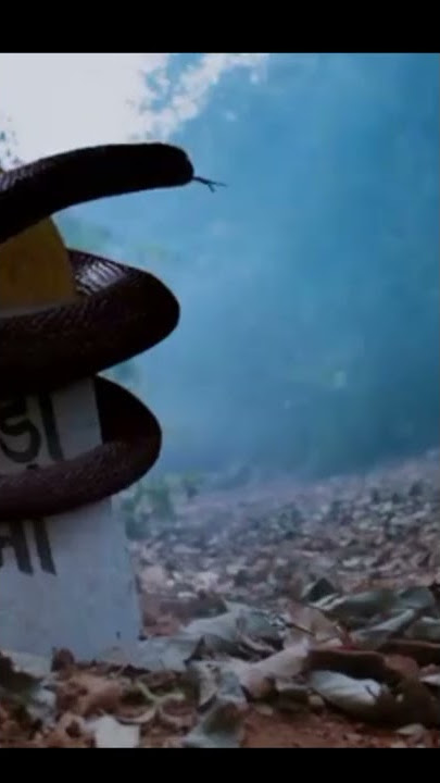 Naagin 4 Nayantara Entry Song. Naagin 4 Been Music.