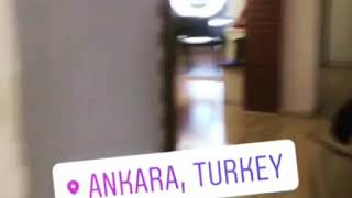 Yero Ankara Ofi̇s(Work And Travel - Yurt Dışı Dil Okulları - Yurt Dışı Eğitim Hakkında Her Şey) Resimi
