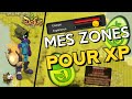 Lvl 200 en 10 jours l mes zones pour xp  dofus touch 