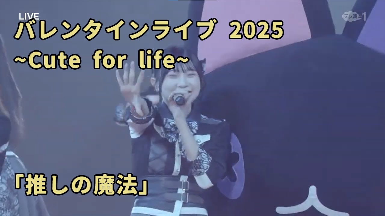 「推しの魔法」 / 2025 ~Cute for life~ Supported by KOJI / 高嶺のなでしこ