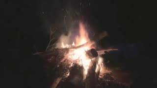 taylor hits - willow ( moonlit witch version) - [yule log]