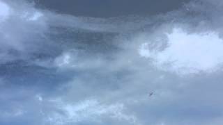 Tom And Carlo Fly Their Cubs