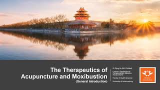 305. UJオンライン講義：3鍼灸の治療法一般的な紹介3