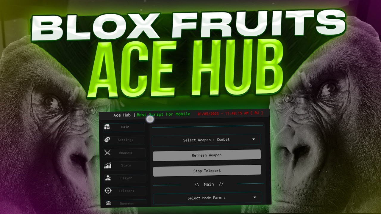 BLOX FRUITS Script, Playback X Hub, Auto Farm (NO LAG)