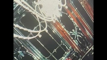 woee33 - ​i spoke to the devil in moscow!