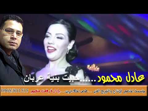 عادل محمود حبيت بنية عربان