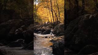 Funny Fail...must Watch No.35