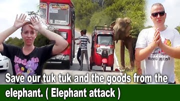 Red onze tuktuk en de goederen van de olifant. (Aanval van de olifant)