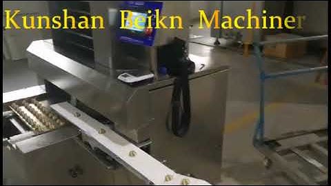 Chocolate filled biscuits making machine / liquid filling cookies encrusting machine