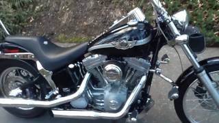 2003 Harley Davidson Softail FXST Anniversary Edition for sale on craigslist Macon Ga