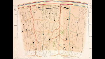11/10/17 Friday Lecture:  The Nicholson Lecture feat. Sten Linnarsson, PhD
