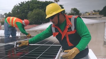 Tech Scaleups Horizontal