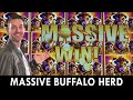 MASSIVE Buffalo Herd 🐃  Seven Feathers Casino in Oregon! #ad