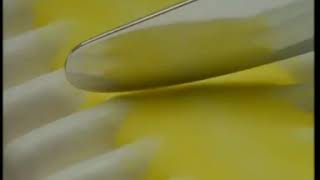 Publicite Viennetta Citron - Mars 1997