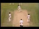 A bit of Beef - the Best of Botham