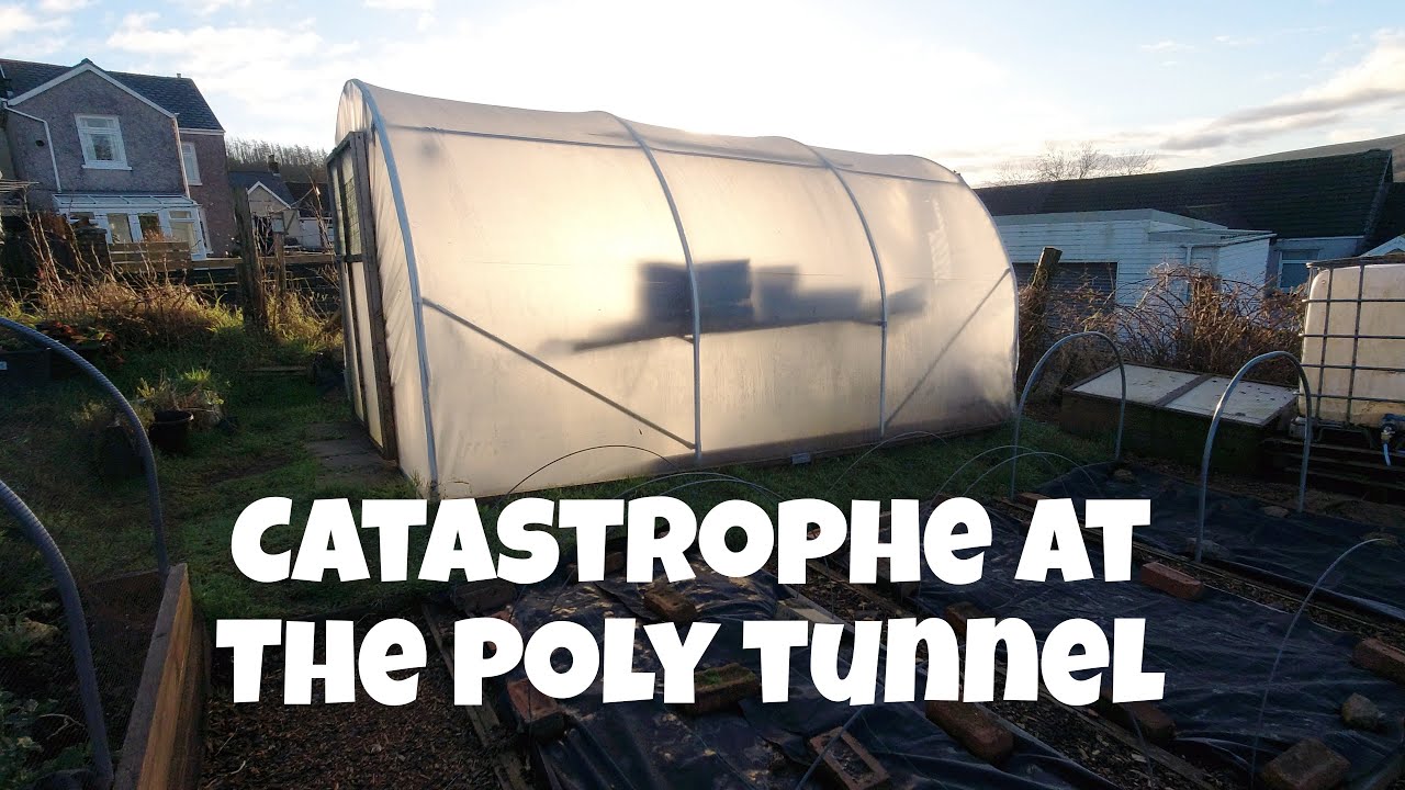Catastrophe at the Tunnel | Allotments For Fun and Food
