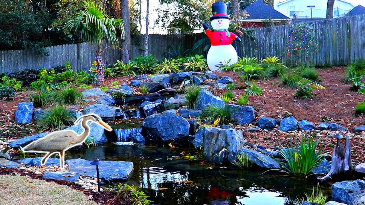 bass fishing at night Blue Heron Attacks My Pet Bass