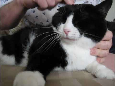 He is sure her He is sure her