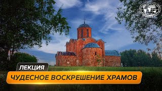 Новгородские фениксы: жизнь, смерть и возрождение  | @Русское географическое общество