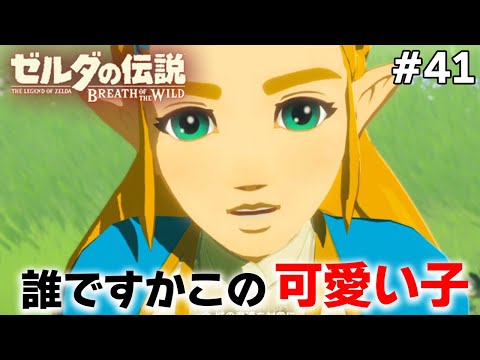 テレビゲーム総選挙でNo.1を獲得した史上最高の神ゲーを初見が実況『 ゼルダの伝説 ブレス オブ ザ ワイルド 』#41【ぽんすけ】