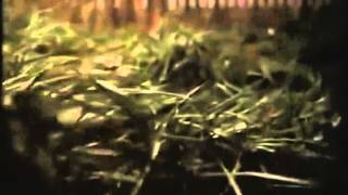 Explorers (1985) bande annonce