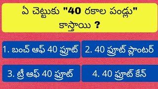 Interesting GK Questions in Telugu || Interesting Facts || Class - 5 || GK || General Knowledge