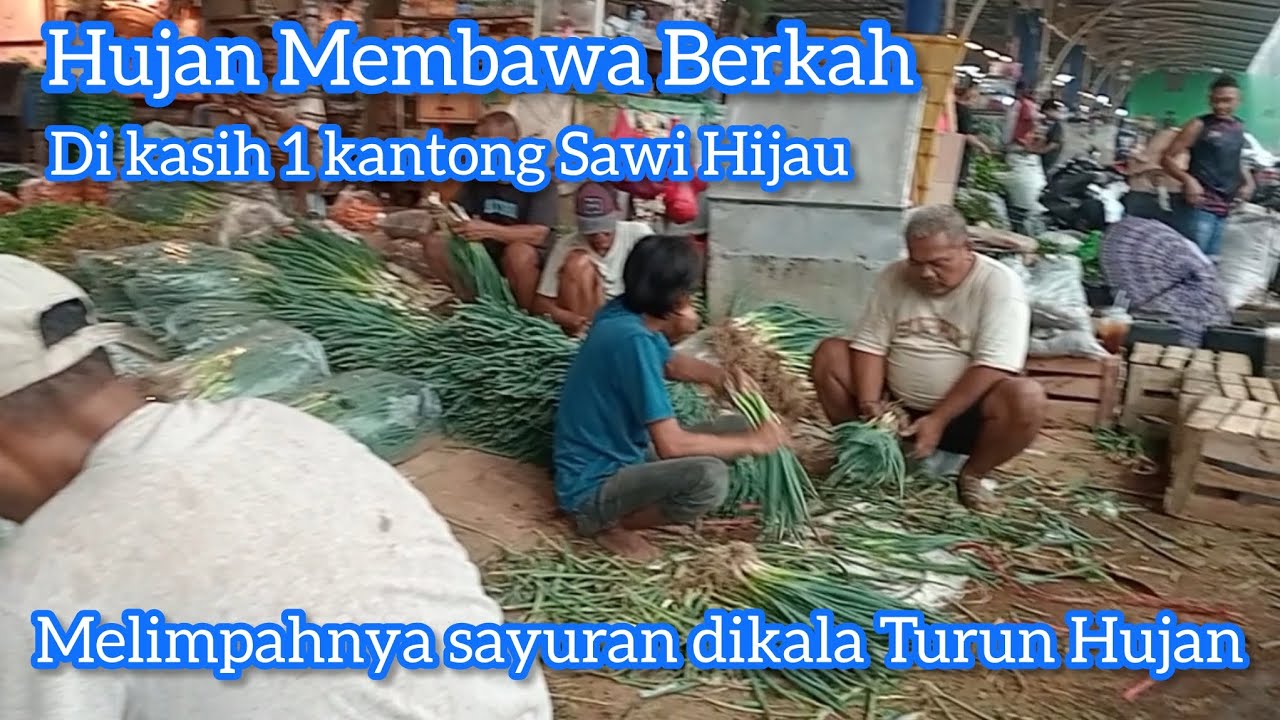 Melimpahnya Sayuran dikala Turun Hujan 🥶🥶☔🌧️🌧️