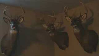 Singing Deer- The Big Buck Brothers