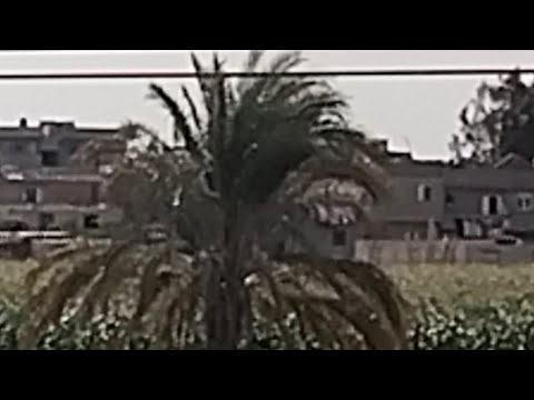 الصبر مثل اسمه مر مذاقه لكن عواقبه أحلى من العسل