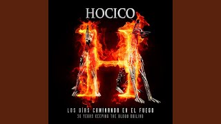 Vignette de la vidéo "Hocico - Saviors"